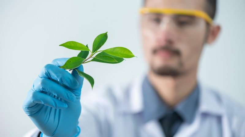 Exploring the Side Effects of Suboxone Use