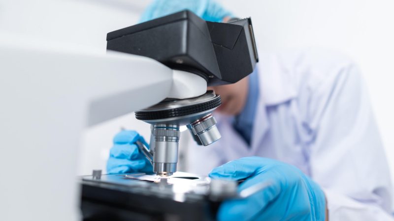 The Importance of Professional Testosterone Clinics in Hormone Therapy